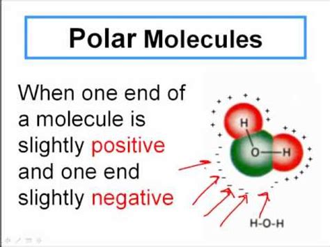 Polar and Non Polar Covalent Molecules   YouTube