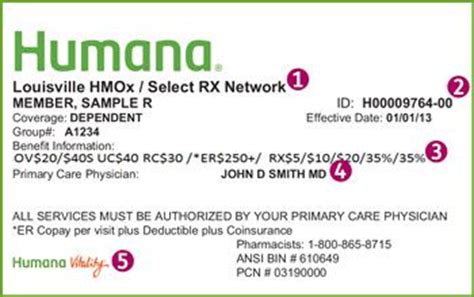 policy number on humana insurance card | Infocard.co