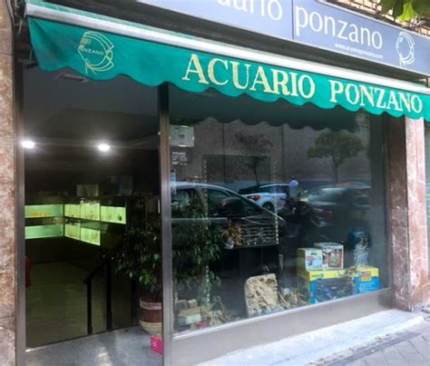 Pon un pez en tu vida con Acuario Ponzano en Madrid ...