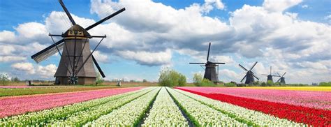 Por que a Holanda é considerada o país do futuro?   Dr ...