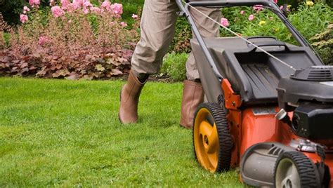 Por qué contratar un experto en mantenimiento de jardines