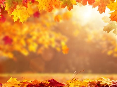 ¿Por qué el otoño puede ser la mejor estación del año ...