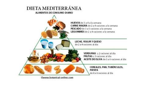 ¿Por qué la dieta mediterránea es la mejor del mundo para ...