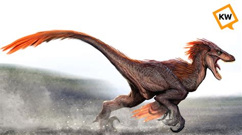 Por qué los dinosaurios tenían plumas