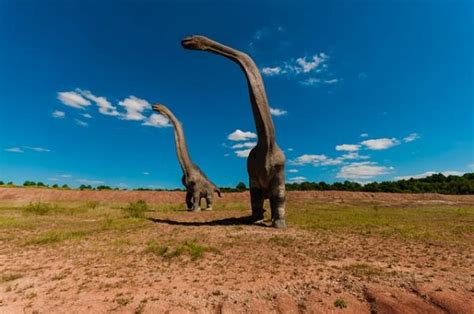 Por qué se extinguieron los dinosaurios   unComo
