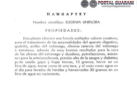 Portal Guaraní     Comida Paraguaya: Recetas, Preparación ...