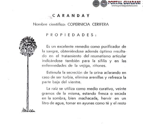 Portal Guaraní     Comida Paraguaya: Recetas, Preparación ...