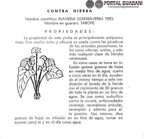 Portal Guaraní   CONTRA HIERBA   PROPIEDADES   Estudio de ...