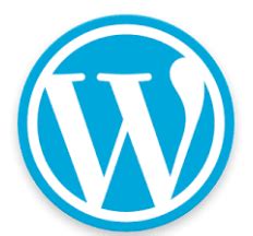 Posicionan más las páginas o los artículos de Wordpress