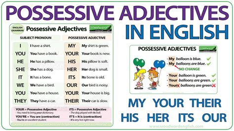 Possessive Adjectives in English   Grammar Lesson   YouTube