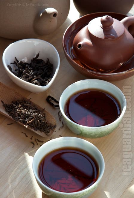 Post fermented Tea  dark tea  – Tea Guardian