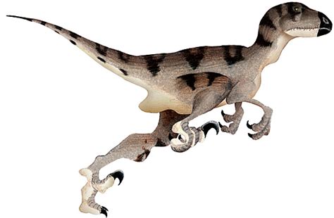Post: Hallan nueva especie de dinosaurio raptor en el ...