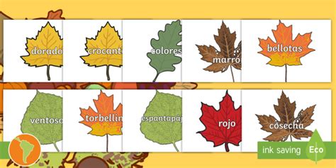 Pósters: Vocabulario de otoño en hojas   otoño, vocabulario