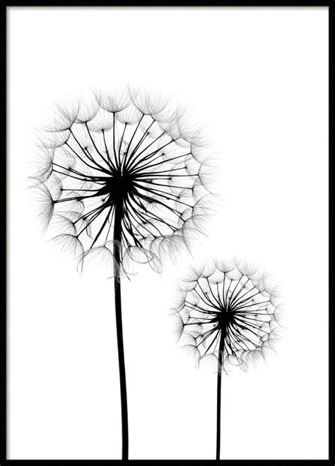 Posters with Dandelion Print | Prints Online