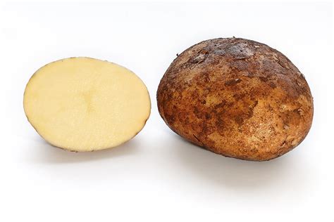 Potato   Simple English Wikipedia, the free encyclopedia