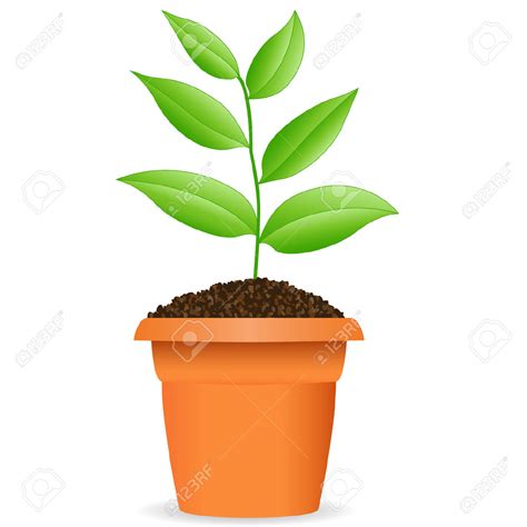 Potted Plants Clipart  75+