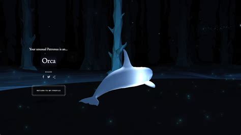 Pottermore Patronus Test: Orca Patronus YouTube