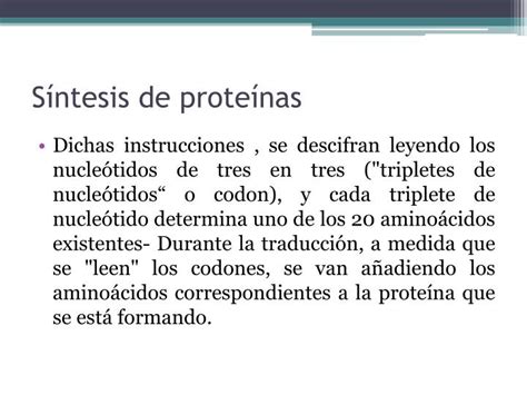 PPT   BIOQUIMICA DE LAS PROTEINAS PowerPoint Presentation ...