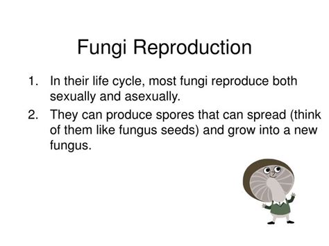 PPT   Chapter 21: Kingdom Fungi Notes PowerPoint ...