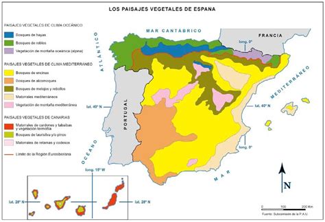 Práctica 3.3. Mapa de los paisajes vegetales de España ...