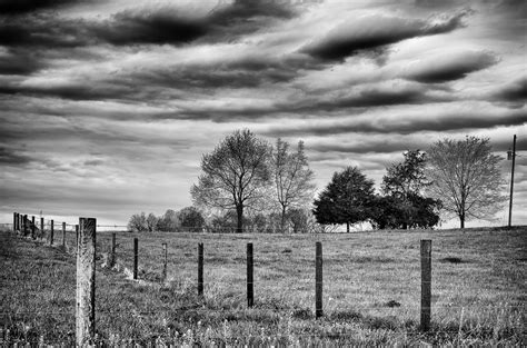 Prairie Trees | Temple Hill, KY | Michael Vines | Flickr