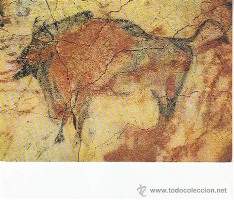 prehistoria: pinturas rupestres: bisonte de la   Comprar ...