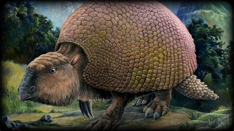 Prehistoric Beasts   Glyptodon   YouTube