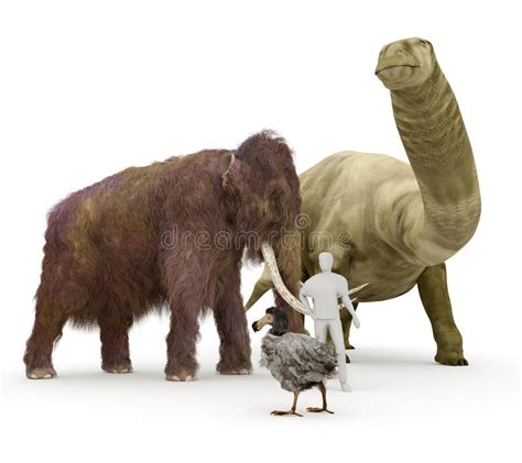 Prehistoric Extinct Animals To Human Size Comparison Stock ...