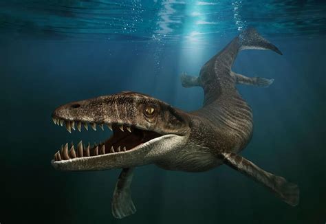 Prehistoric Marine Animals