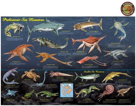 Prehistoric Sea Monsters Marine Reptiles Educational Poster