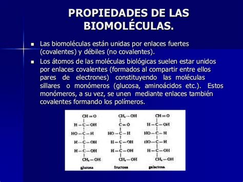 Presentacion biomoleculas