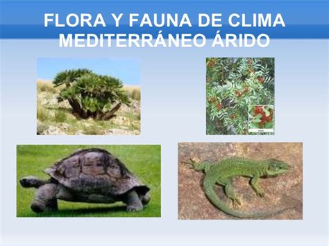 Presentación flora y fauna de andalucía