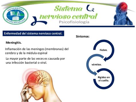 Presentacion Sistema Nervioso Central.