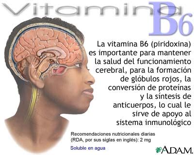 Prevención de salud » vitamina b6