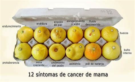 Prevención Del Cancer De Mama Pdf   Cryptorich