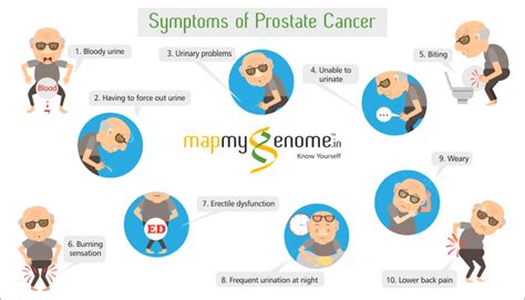 Prevent Prostate Cancer | Blog | Mapmygenome