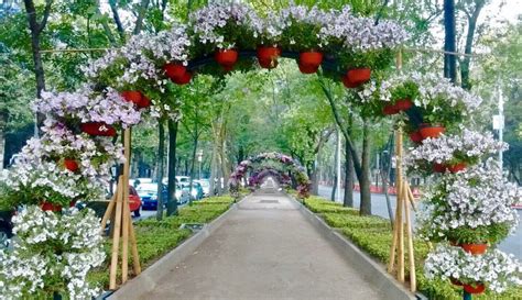 Primer Festival de Flores y Jardines llega a Reforma ...