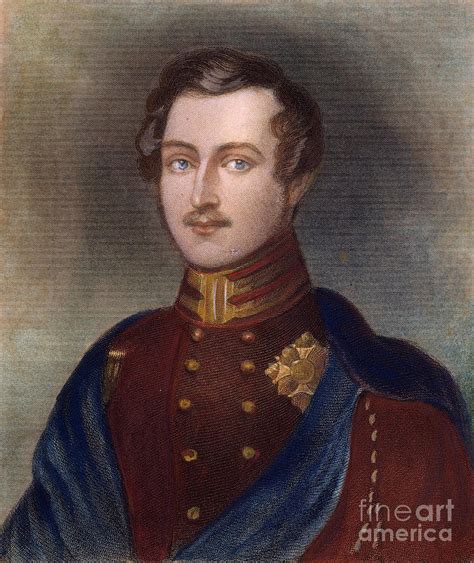 Prince Albert Of England by Granger