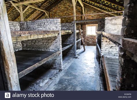 Prisoner bunks in Auschwitz Birkenau Concentration Camp ...