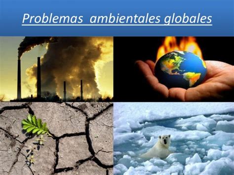 Problemas ambientales más importantes | Ecología Hoy