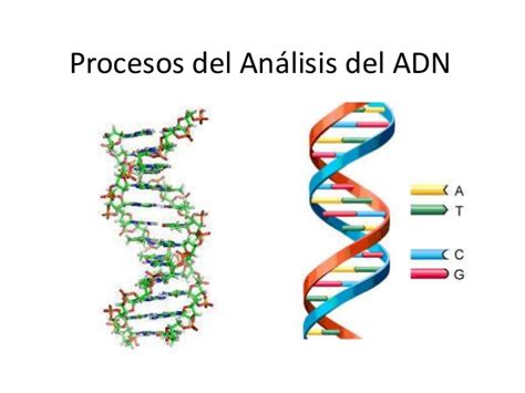 Procesos de Análisis del ADN