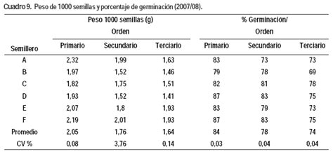 Producción de semilla de zanahorias anuales  Daucus carota ...