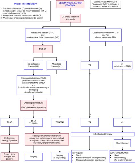 Prognosis metastatic esophageal cancer   Maple suyrup diet