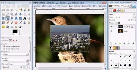 Programas y aplicaciones para retocar fotos y editar imágenes