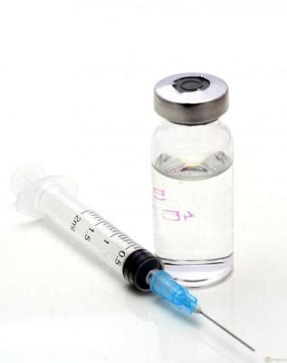 Progreso en el desarrollo de una vacuna contra la diabetes ...