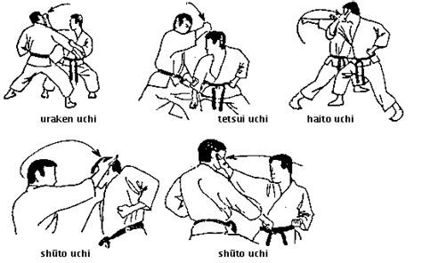 Projeto Formando o Amanhã: Técnicas básicas do Karate