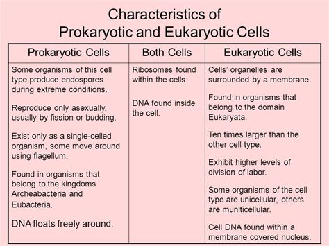 Prokaryotic and Eukaryotic Cells   ppt video online download