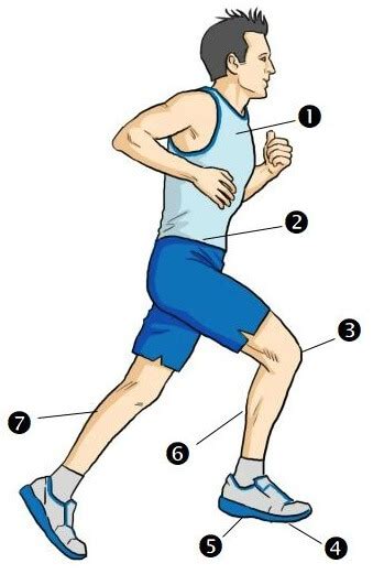 Proper Running Techniques   Correct Running Posture ...