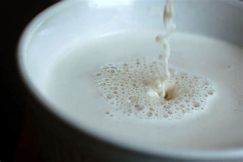 Propiedades de la leche de avena
