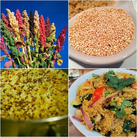 Propiedades de la Quinoa: beneficios de su consumo, usos y ...